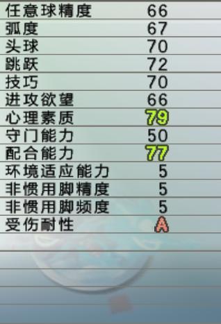 实况足球102010,甲a联赛辽小虎