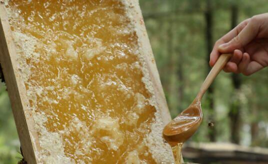 蜂蜜老陈醋功效及正确喝法,蜂蜜治便秘的正确喝法