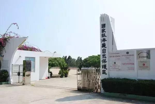 惠州双月湾君廷一线海景酒店推荐,惠州双月湾君廷度假酒店预订