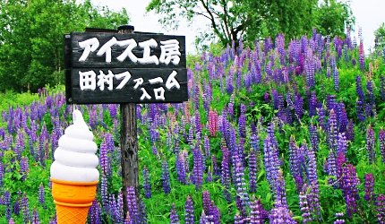 旭川机场,旭川机场到东京机场