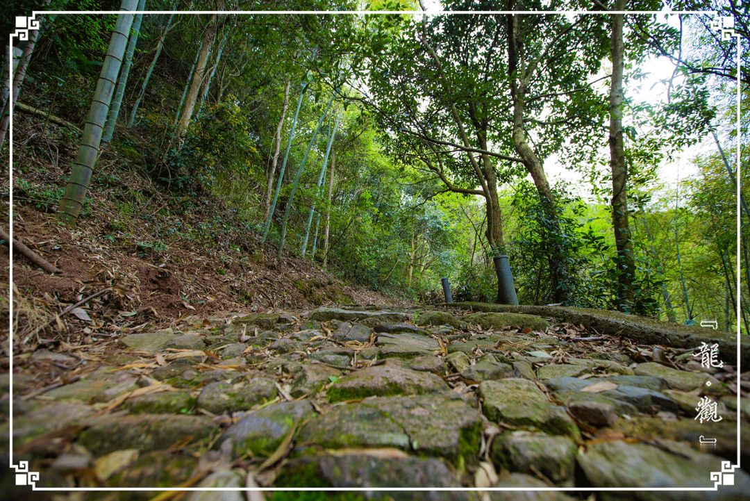 宁波龙观一分钟，浩瀚时间海，弱水一瓢饮