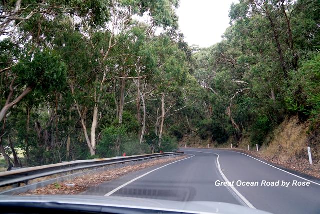澳洲的大洋路风景,大洋路澳洲