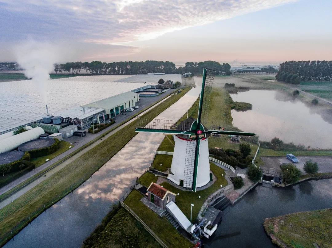 荷兰是怎么成为光刻机霸主的,荷兰最先进光刻机