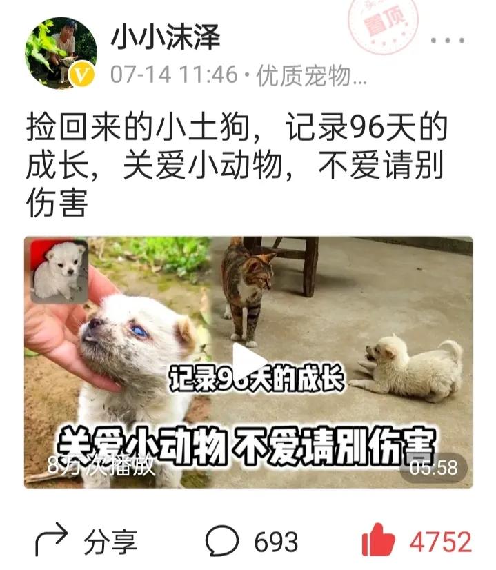 乐途黑妞的收获,黑妞乐途2019年骑行视频