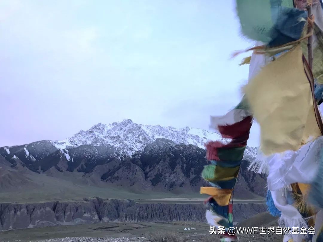 如何正确的品味一首歌,如何品味咖啡更美味