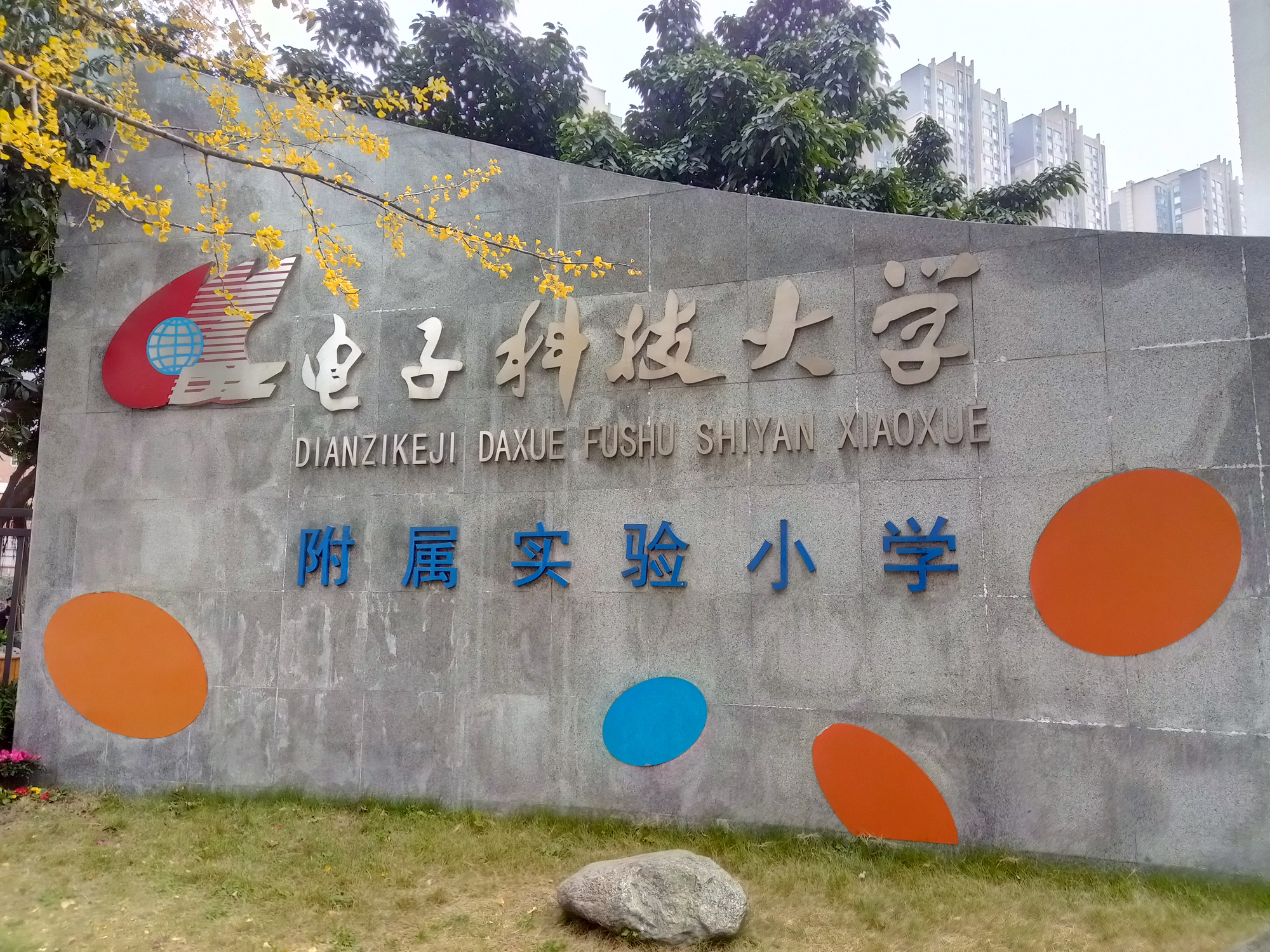 成华区排名前五的小学,成都市成华区有哪些好的小学