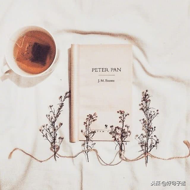 最新个性签名句句经典字字精辟,20句经典个性签名总有一句适合你