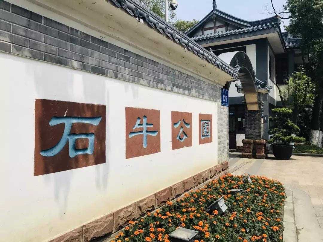 每个郫筒二小毕业的，都是在石牛公园耍大的