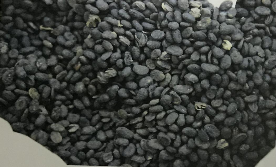 补骨脂可以补骨头吗,补骨脂成骨