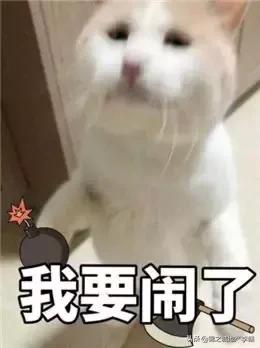 和朋友吵架了冷战怎么解决搞笑,和朋友吵架冷战想和解的视频