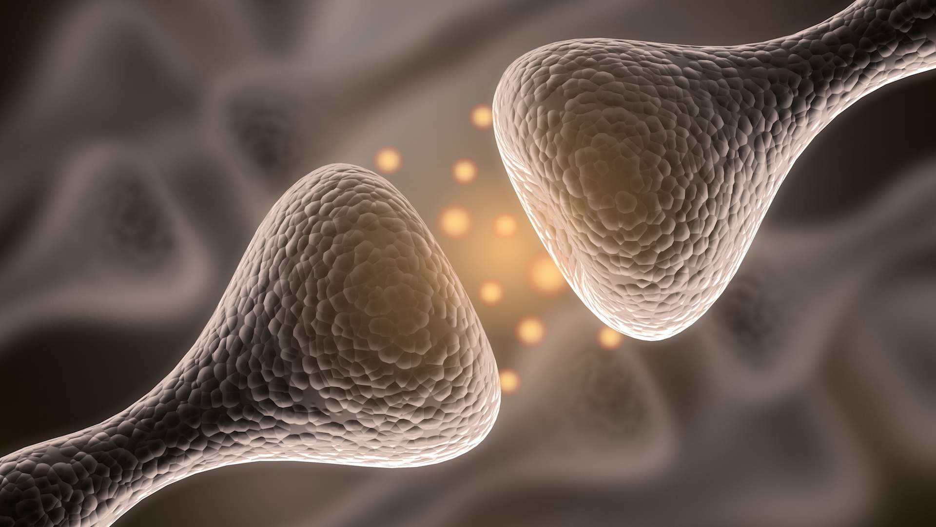 多巴胺阈值：从性到商业社会，你的愉悦并非来自快感，而是新奇