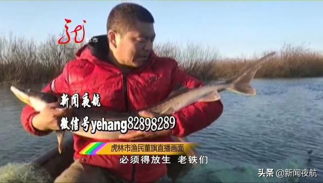 我省水质好不好这条鱼给出答案