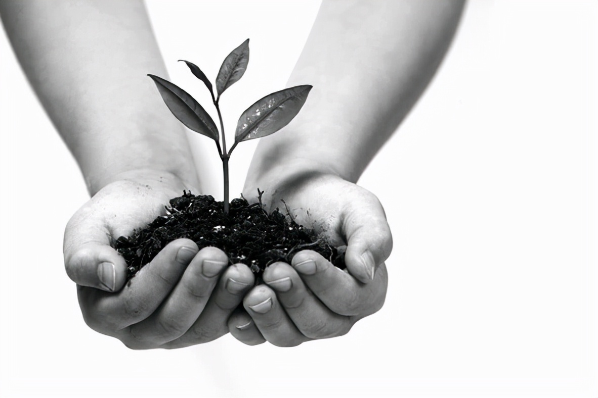 孩子寄宿在亲戚家有啥利弊,寄宿制对孩子的伤害有多大