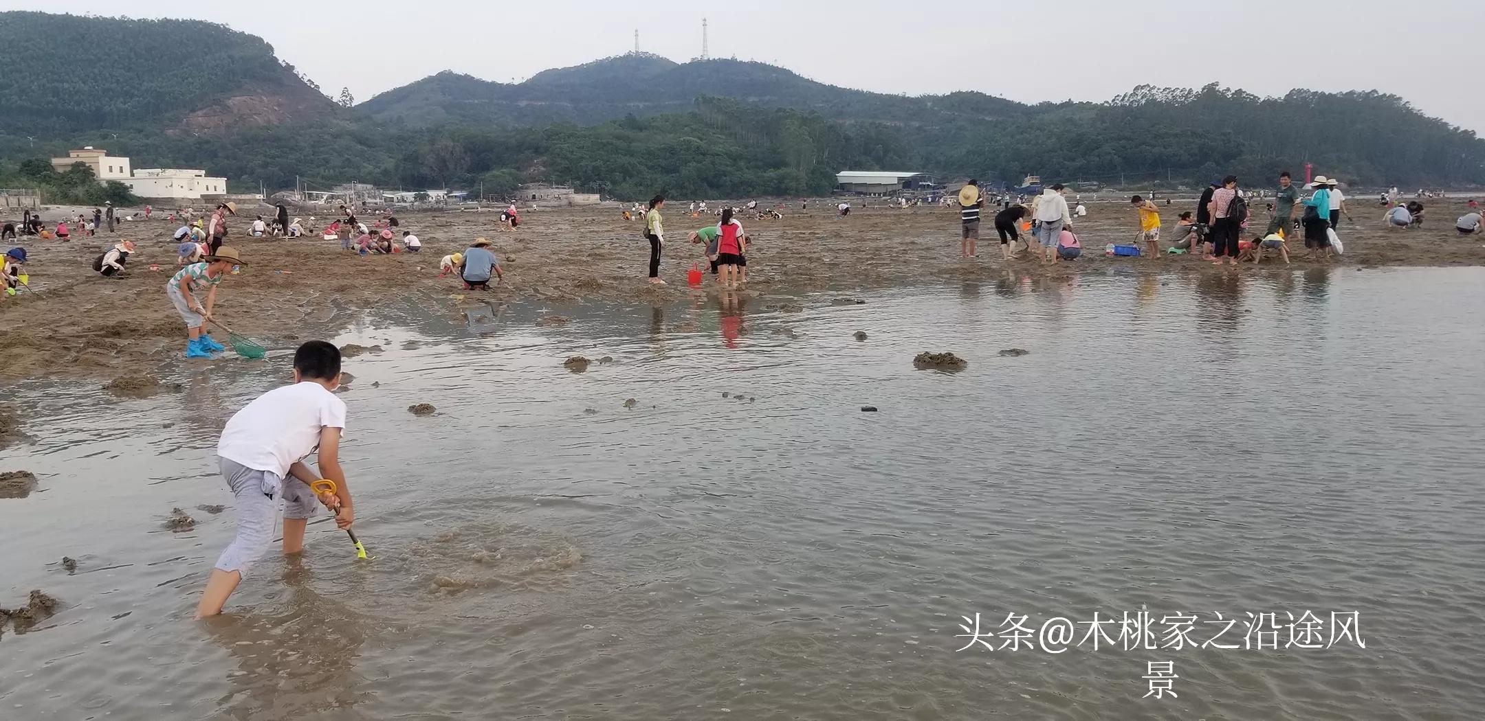 东平赶海沙滩,东平赶海最佳地方
