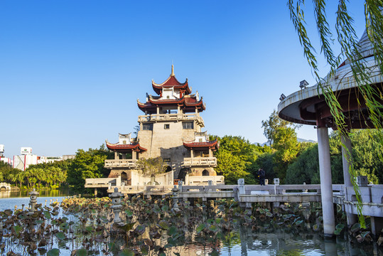 留从效,留从效字号