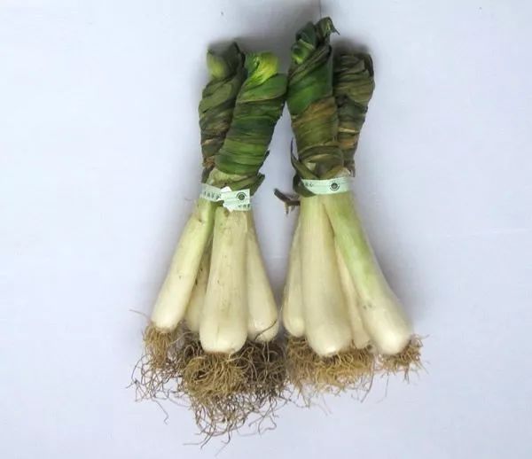 葱是菜还是调料,葱是荤