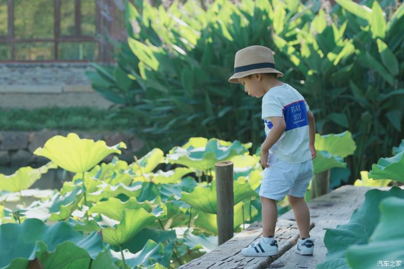 乌村值得去的地方,乌村最好的地方