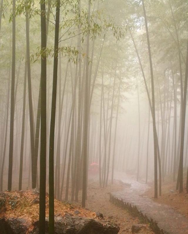 手拍世界手机摄影平台,手拍世界摄影平台