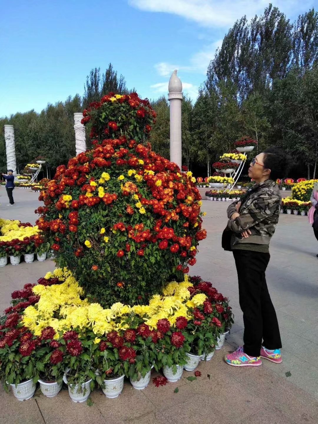 菊香九月香,菊花飘香散文