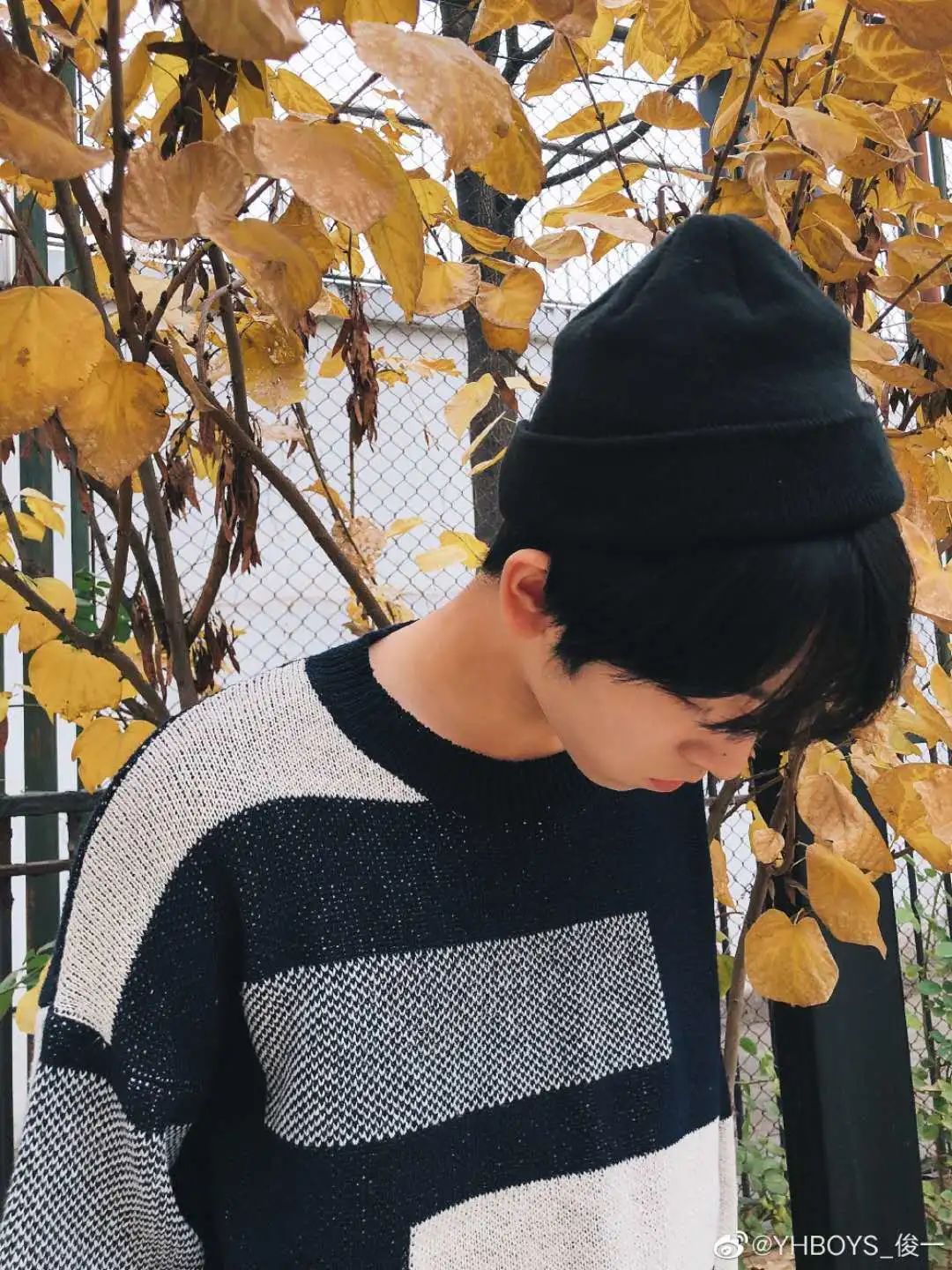 张俊一哭了,张俊一小时候