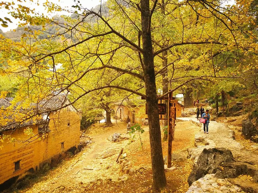 秋季人少景美的小众旅行地,最清静优雅的旅游之地