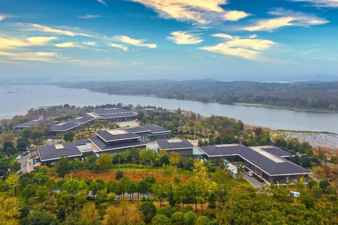 飞跃高空,见证车谷专属奇观!