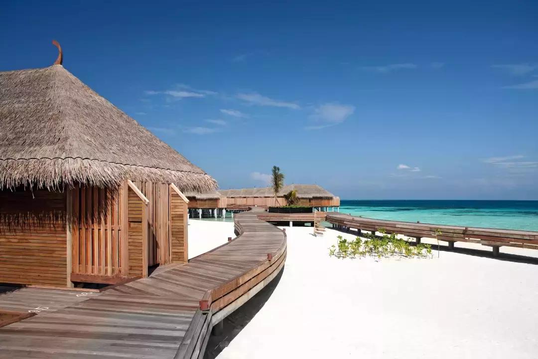 理想生活海景咖啡馆,理想生活