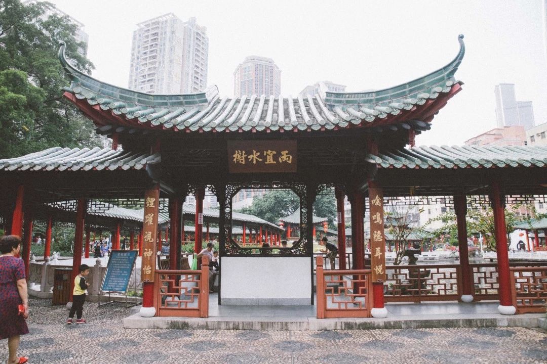 深圳免费一日游好去处推荐,深圳一日游好去处推荐老人