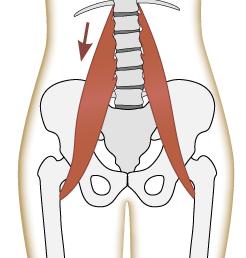 不懂健身动作练到的肌肉,锻炼髂腰肌最有效方法图解