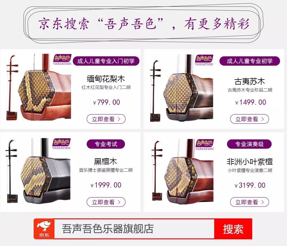 琵琶练琴一直弹错音怎么办,琵琶演奏学习技巧