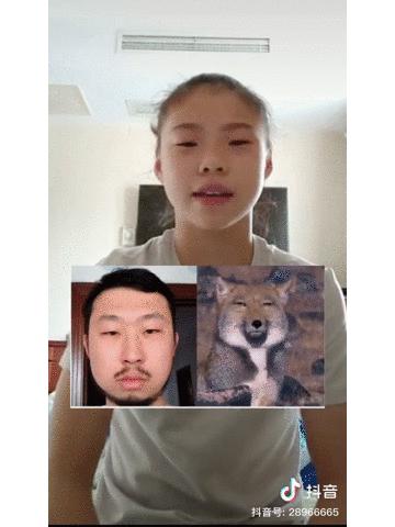 奥运冠军好奇发问：火遍抖音的袋鼠摇到底是啥？热门生物鉴定来了