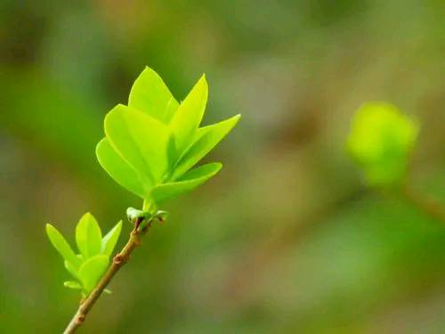 祝福自己生日的唯美句子发朋友圈,立冬的唯美句子朋友圈高质量句子