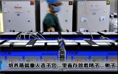 做试管婴儿的全场视频,揭秘试管婴儿的全过程