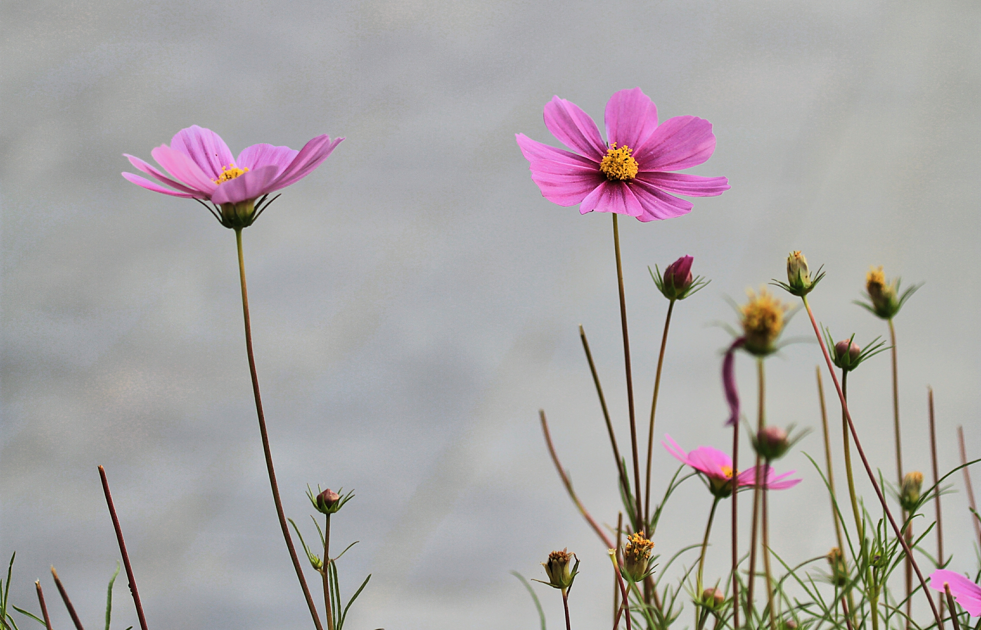 太行水镇和燕都古城,燕都古城太行水镇