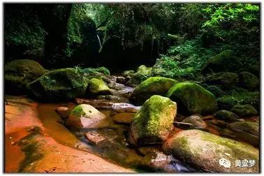 90后童年回忆布谷鸟叫,90后捕鸟