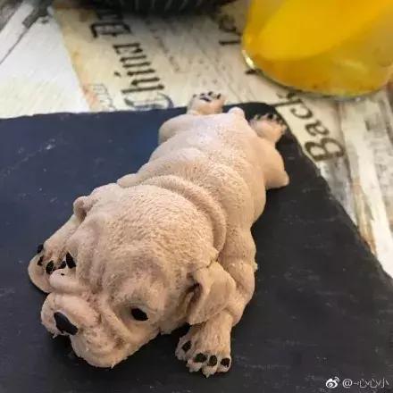 苏州知青回忆录,苏州最近非常红的网红店