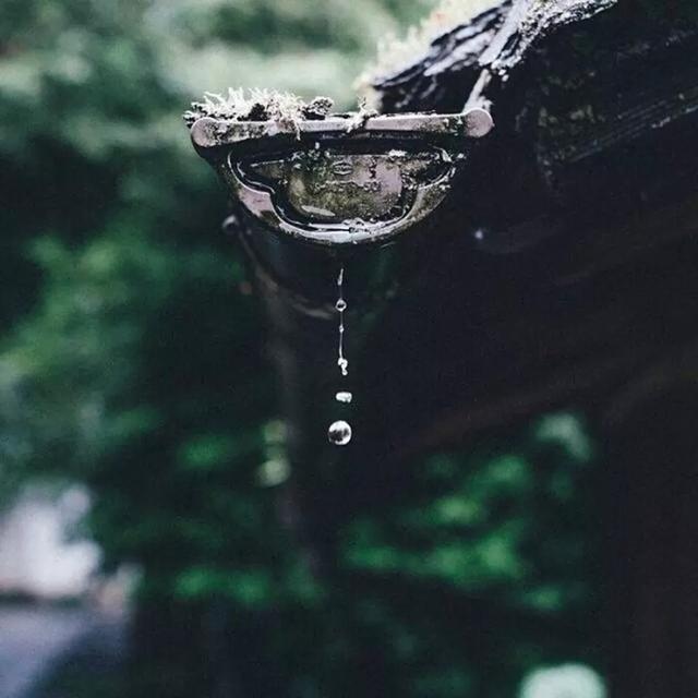 清闲惬意时光,在闲暇时光里寻得一份惬意