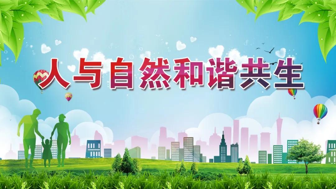 四川省青年足球锦标赛凉山,四川省运会足球比赛凉山