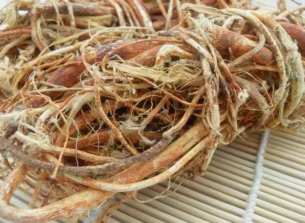 南方人参煲汤配方大全,广东人冬季鲜人参汤