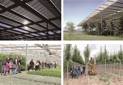 盘锦郊野公园图片,盘锦郊野公园什么时候开工