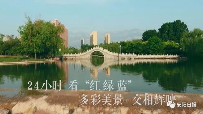 近几天林州发生的新闻,林州这几天发生的事