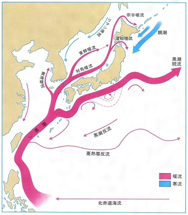 中国降雪量最大的地方,世界降雪量最大的地方