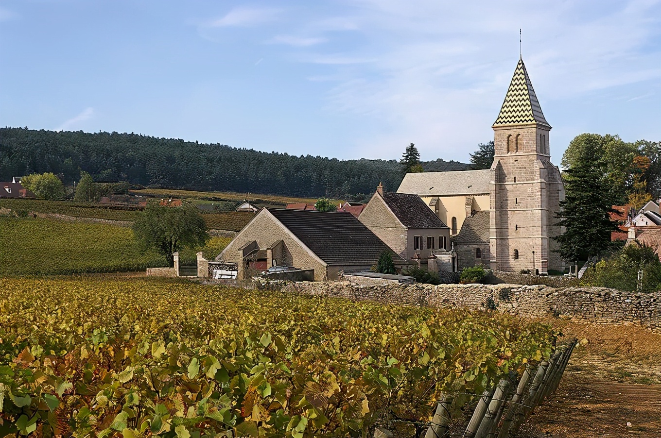 什么拉菲最正宗,什么拉菲葡萄酒值得收藏