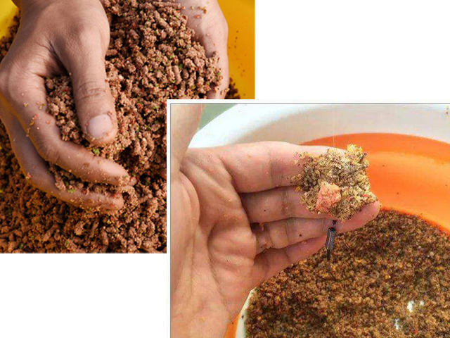 冬季黑坑罗非鱼如何开饵料,自制黑坑罗非鱼饵料怎么调