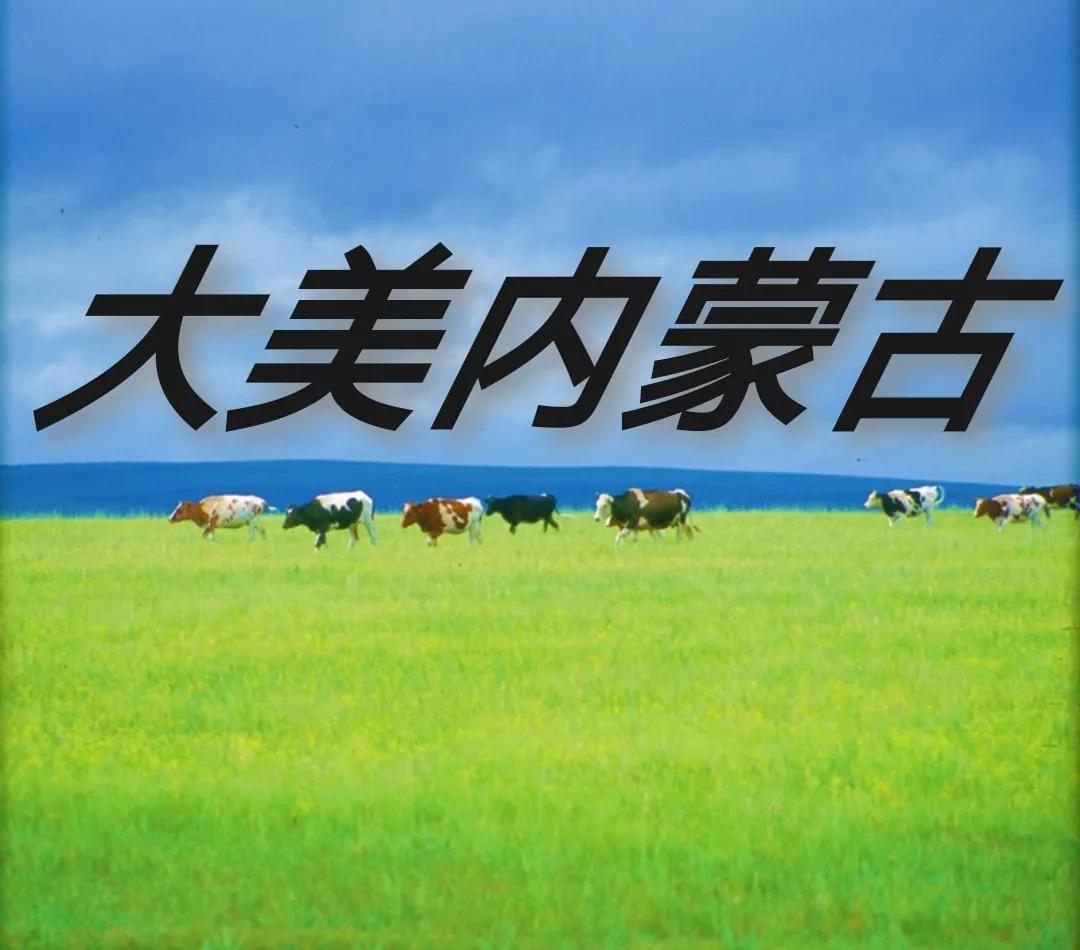 内蒙地区工程总承包资质,内蒙古公路工程施工资质合作门槛