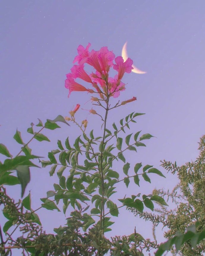 英语句子日常短句,英语口语常用句子框架