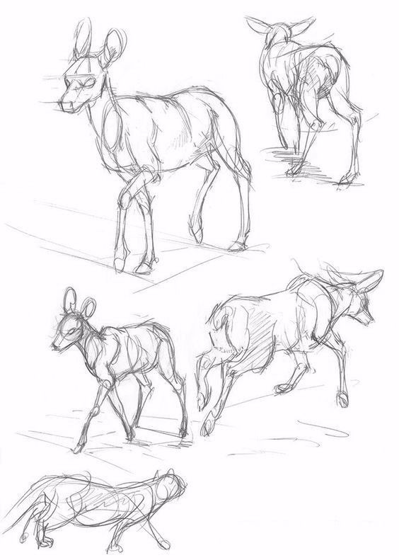 简笔画人物教程大全零基础成人,1000个适合零基础的简笔画教程