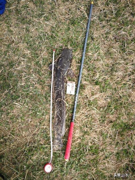 鏅編娓斿叿,鏅編楸艰偉