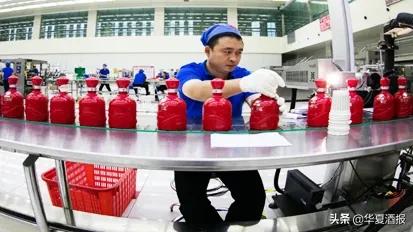 古井“染酱”,能否打出王炸?