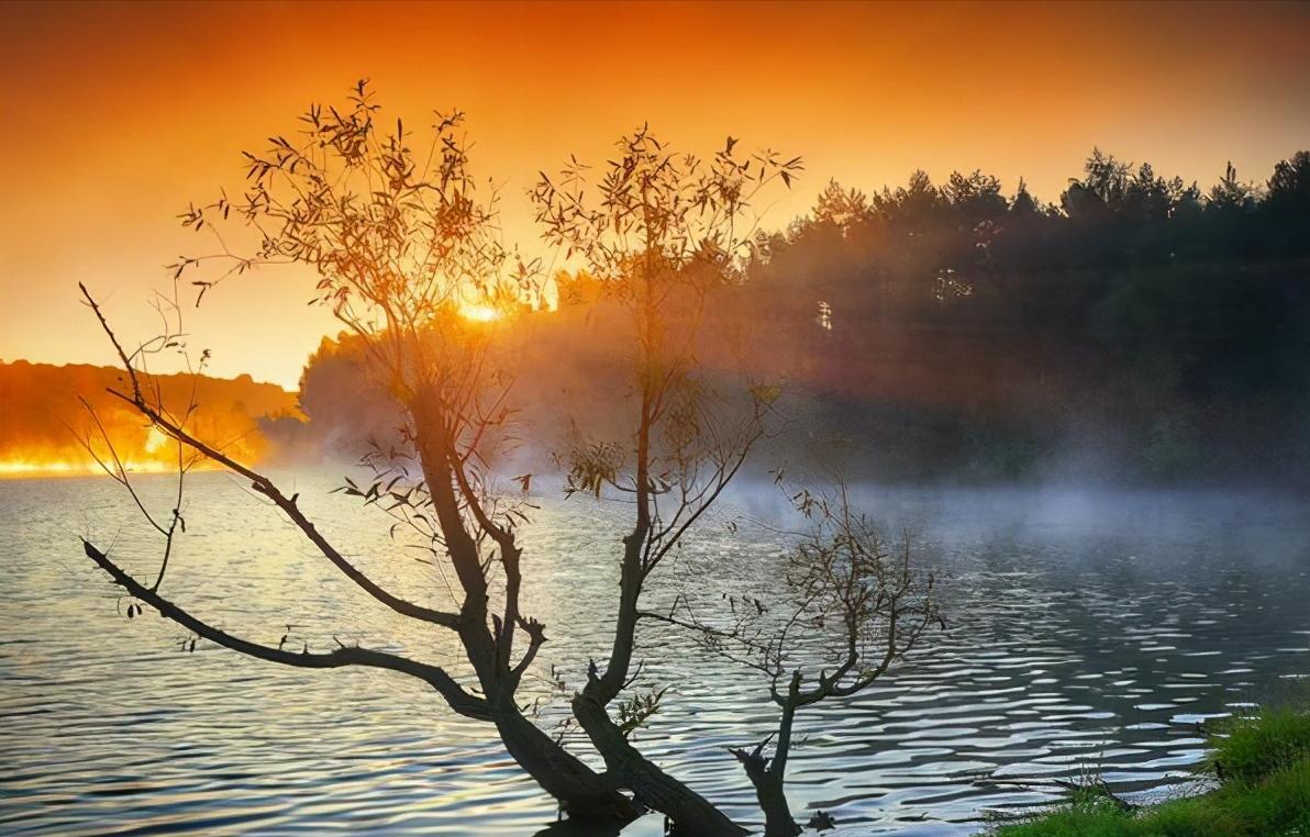 厚黑学为人处世口诀,厚黑学的为人处世篇